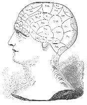 Illustration: Phrenology Map